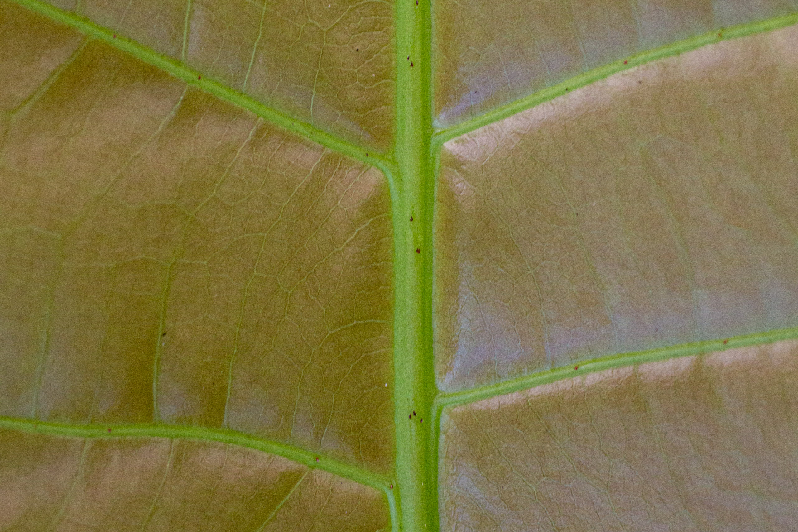 20130123111109 RD 26490