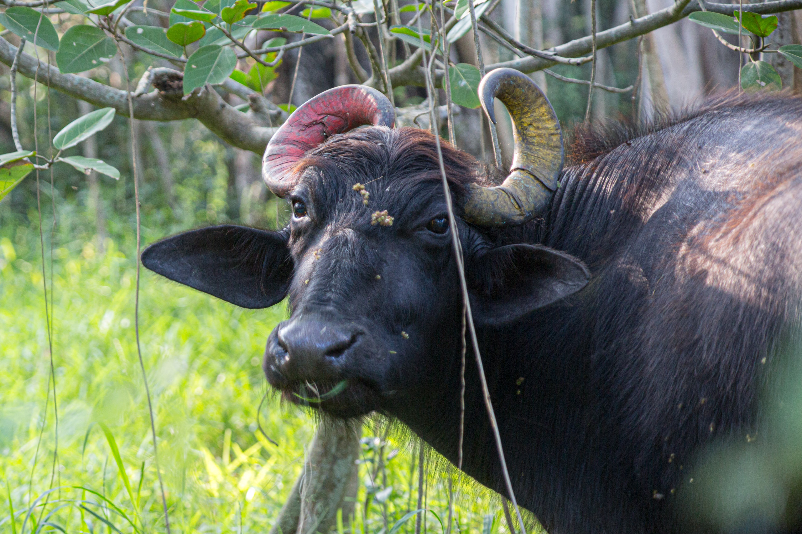 20130125163010 RD 27218