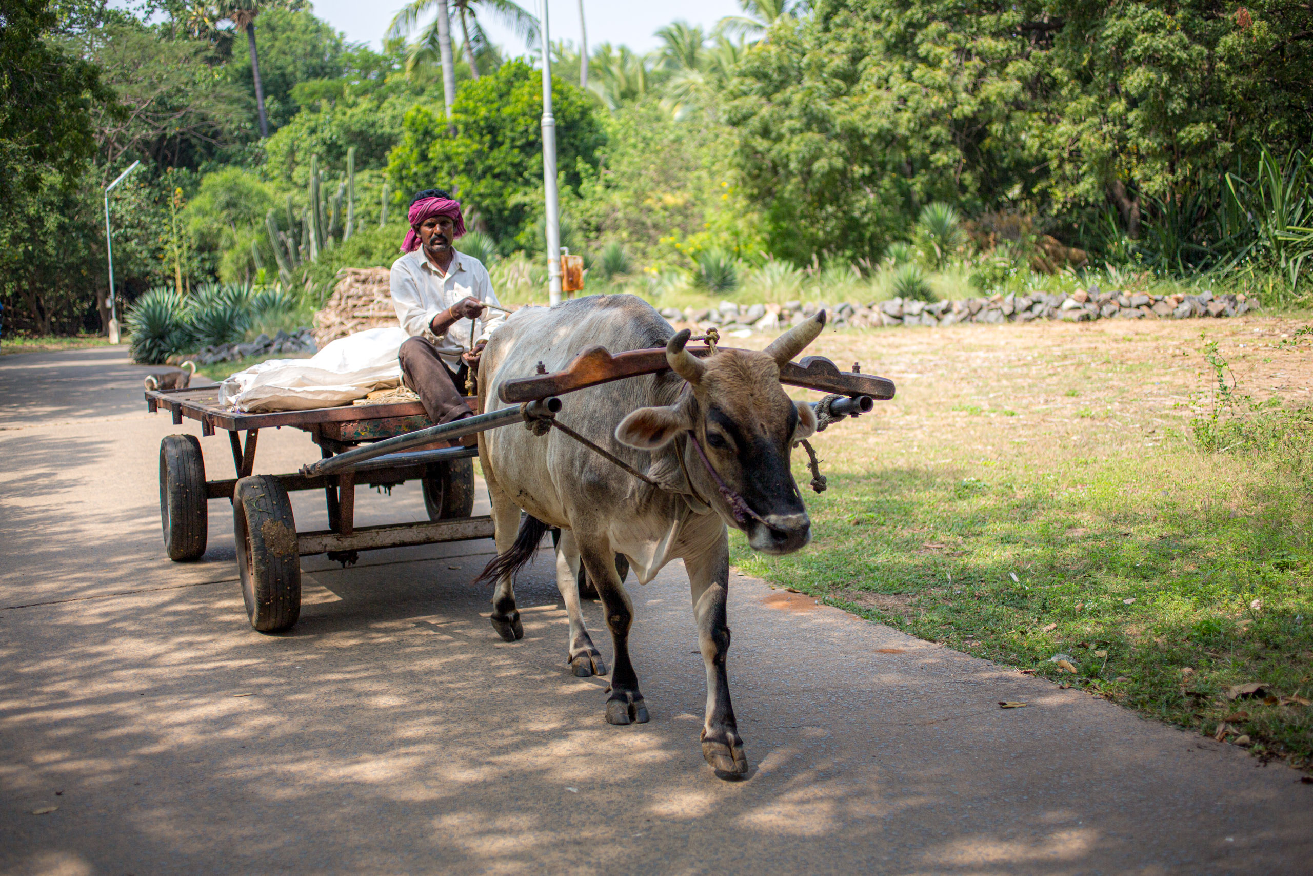 20130123112206 RD 26537