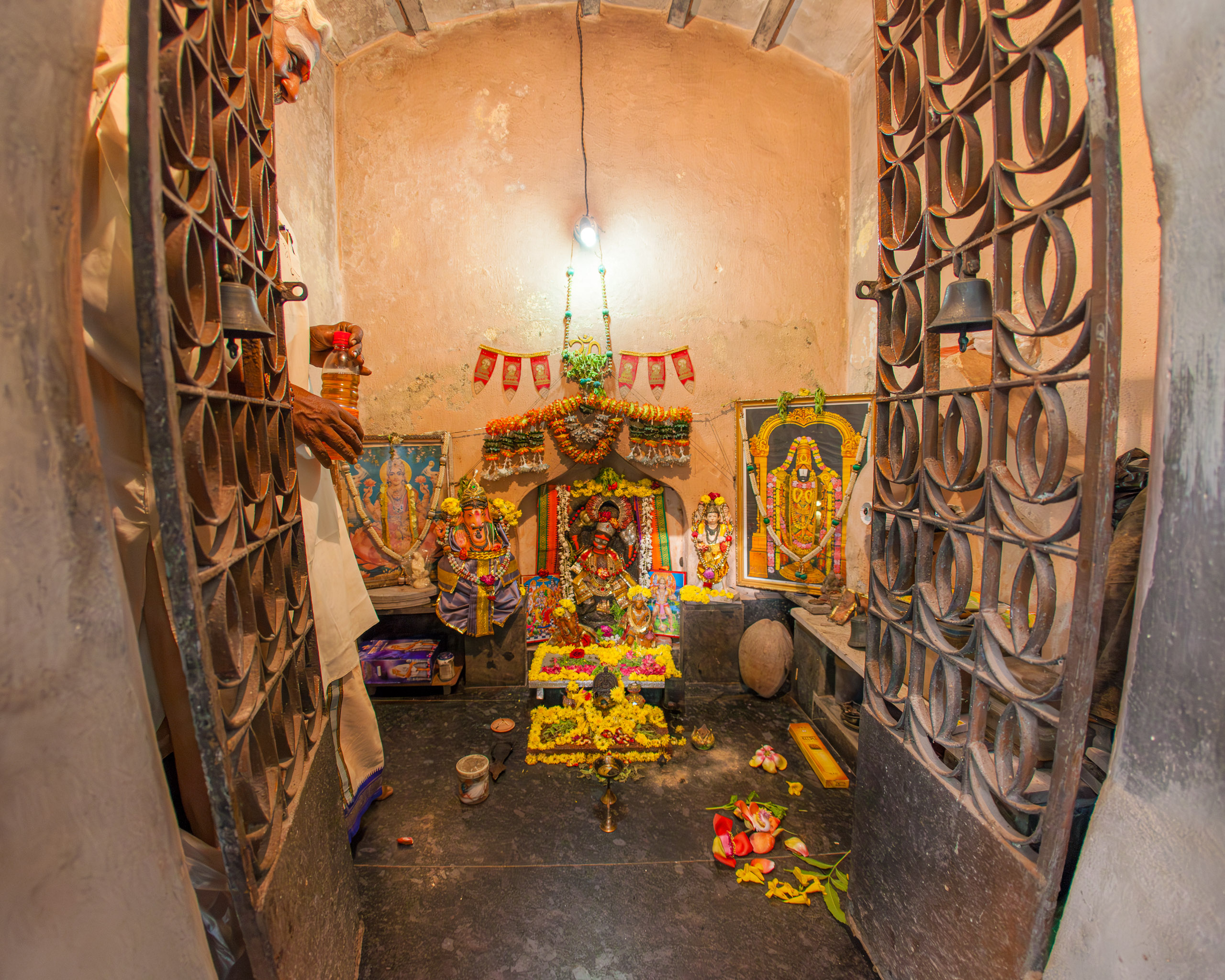 20130112081044 IMG 5186 e