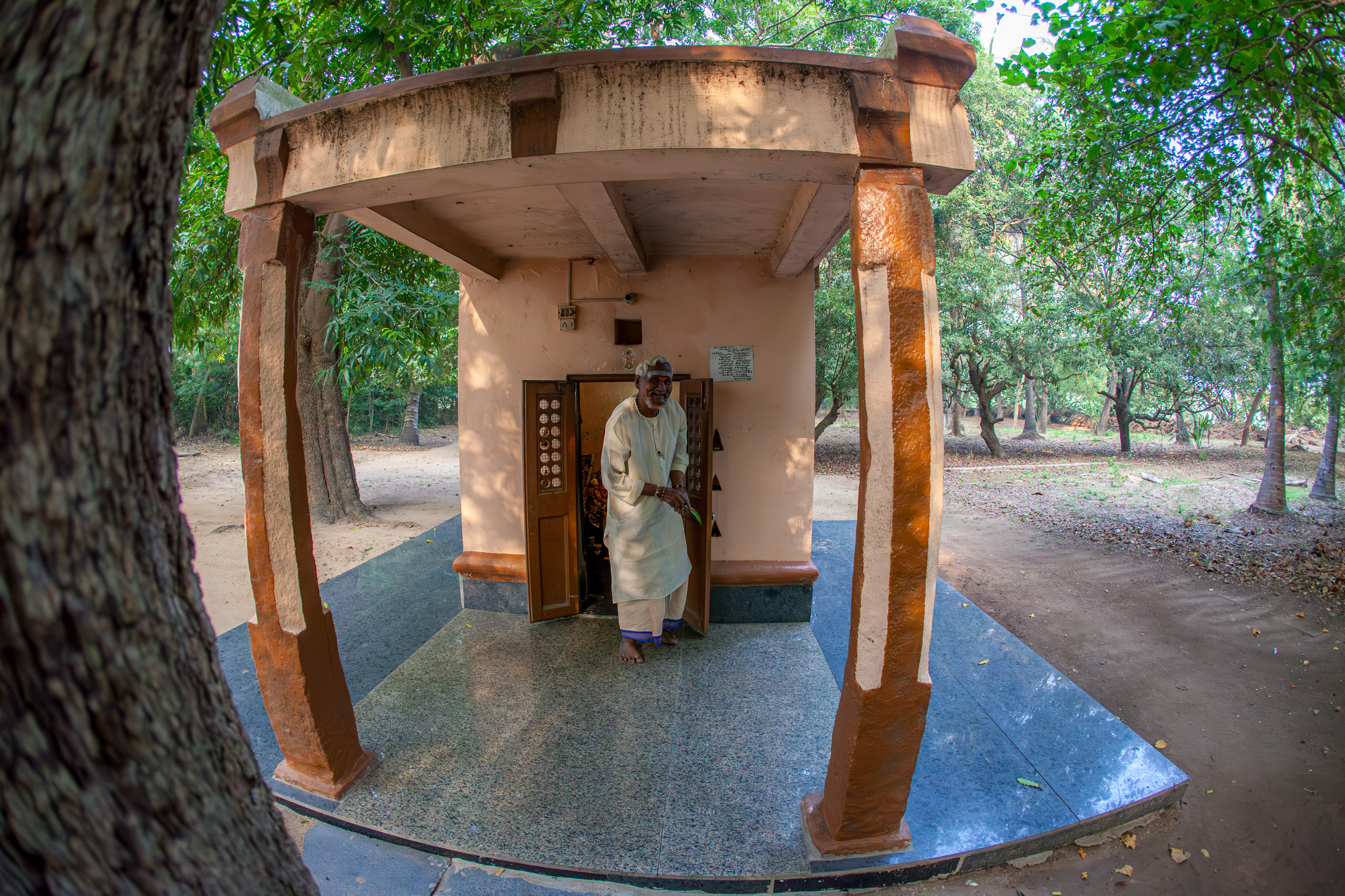 20130112081809 IMG 5202 e